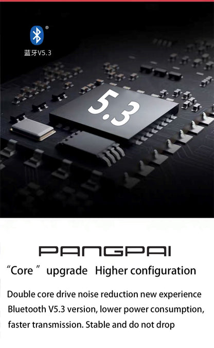 P3967ANC Over The Ear Headphones