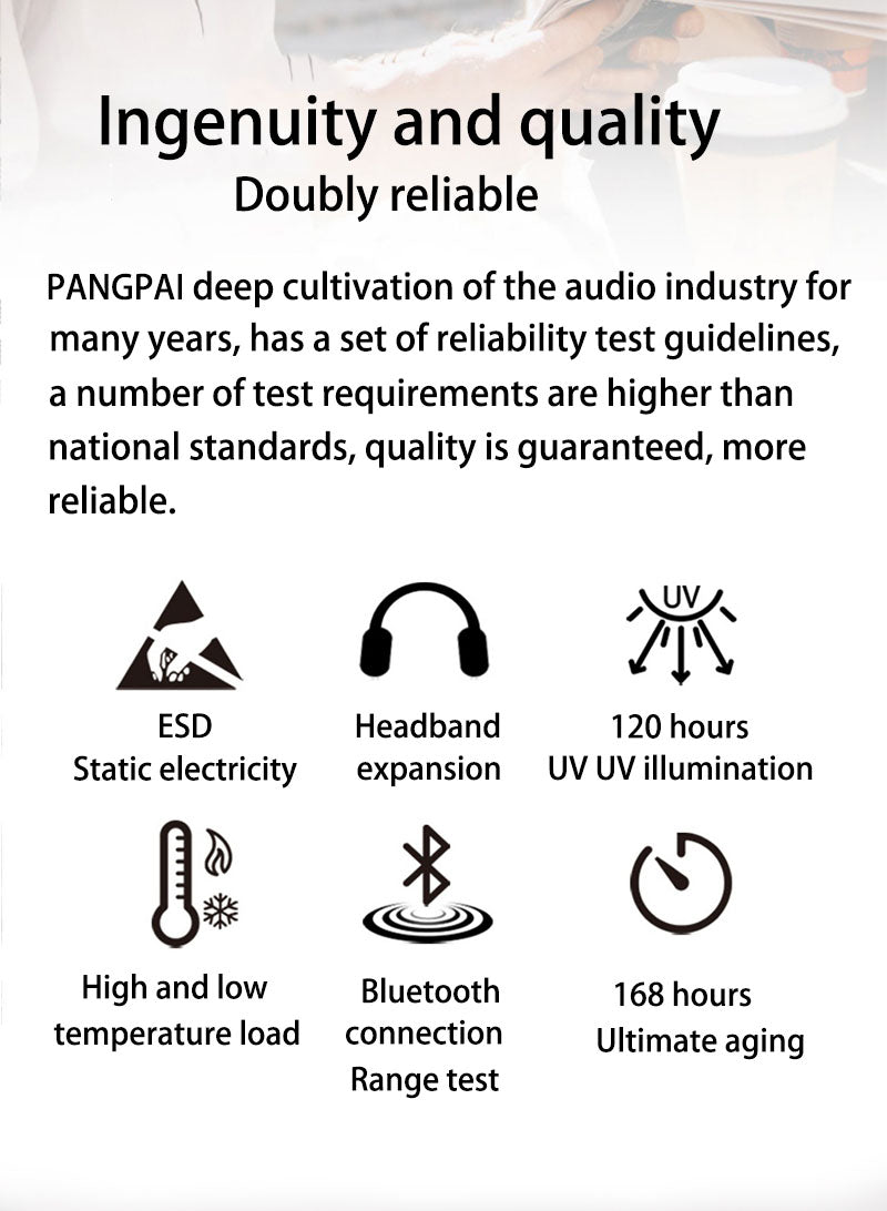 P3967ANC Over The Ear Headphones