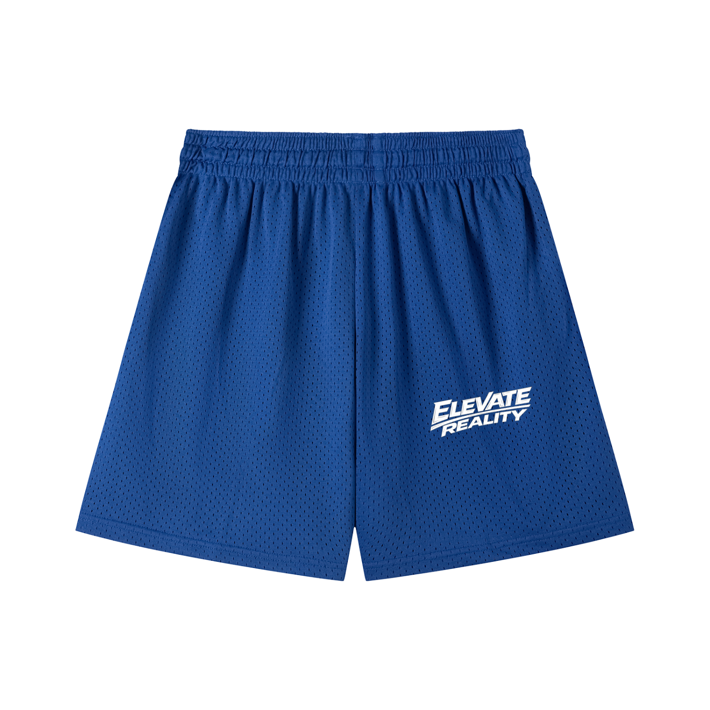 Mesh Undefeated Shorts